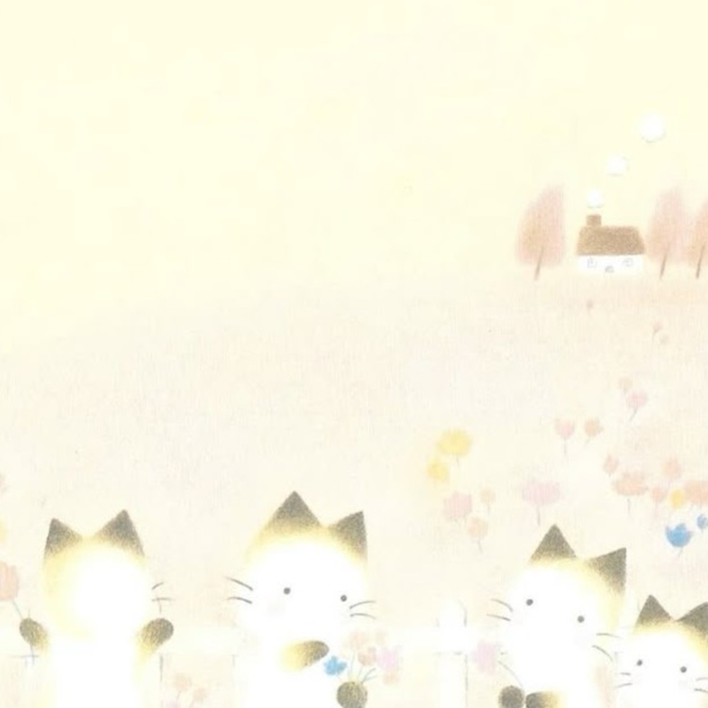 Meet your Posher, Safi